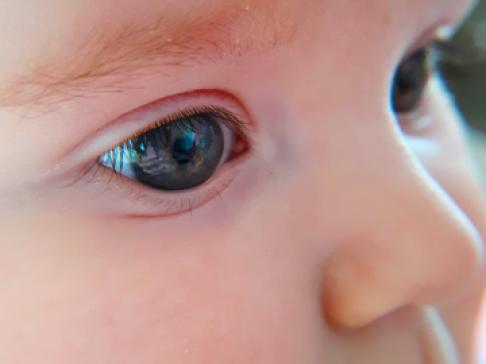 Baby Eye closeup